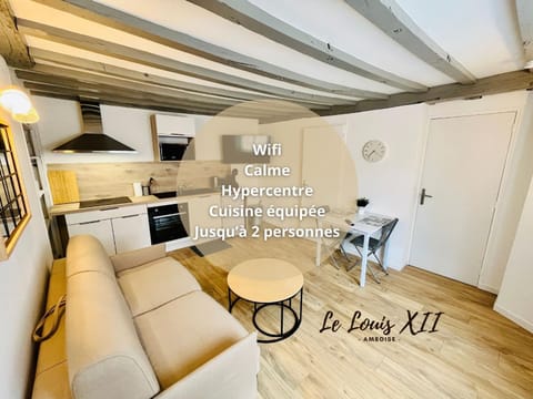 Kitchen or kitchenette, Living room, Seating area, Dining area, oven, stove