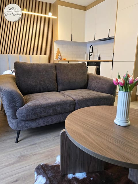 Kitchen or kitchenette, Living room, Seating area, Dining area