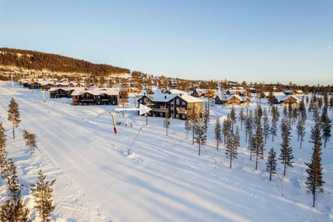 Property building, Facade/entrance, Natural landscape, Winter, Skiing, group of guests