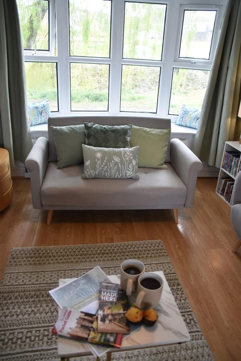 Game Room, TV and multimedia, Living room, Seating area, River view, internet