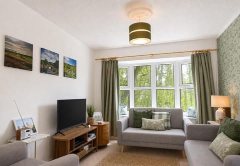 Spring, Day, TV and multimedia, Living room, Seating area, River view, River view