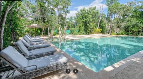 Swimming pool, Swimming pool