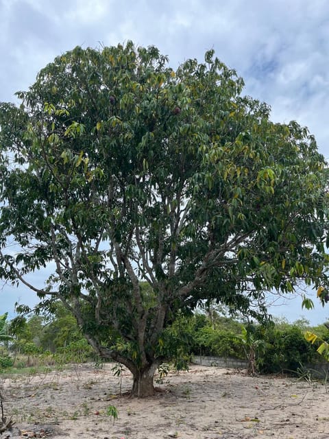 Sítio do Sr Joaquim na Região dos Lagos com Piscina House in São Pedro da Aldeia