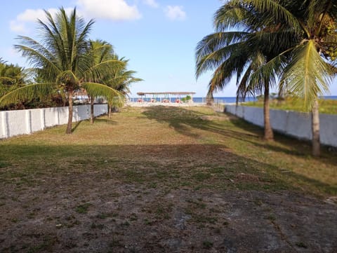 Natural landscape, Garden, Sea view