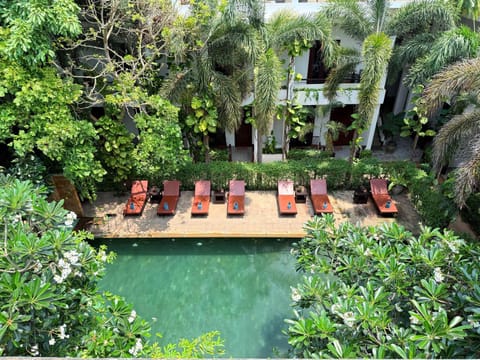 Day, Bird's eye view, Garden, Garden view, Pool view, Swimming pool, Swimming pool, sunbed