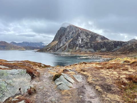 Lofoten Seaside House Villa in Lofoten
