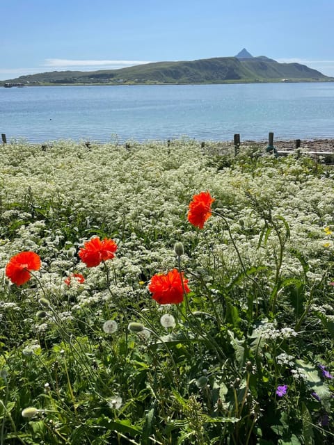 Lofoten Seaside House Villa in Lofoten