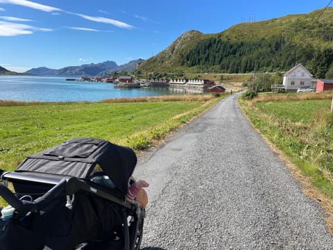 Lofoten Seaside House Villa in Lofoten