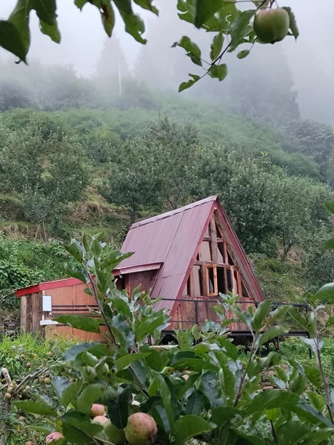 Property building, Day, Natural landscape, Garden, Garden view