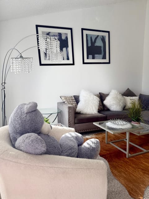 Family Friendly Spacious and Centrally located Apartment in Addison