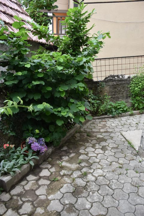 Luca Apartment in Federation of Bosnia and Herzegovina