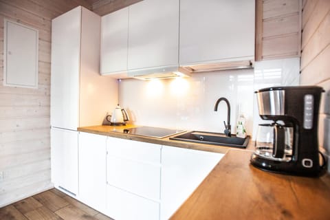 Kitchen or kitchenette, stove, kitchen