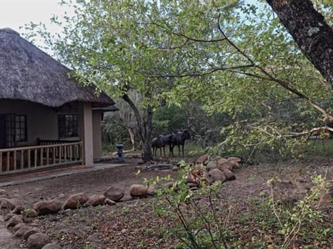 Natural landscape, Garden view