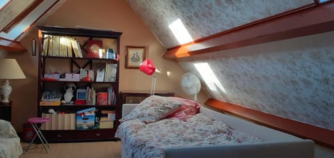 Bed, Library, Photo of the whole room, Bedroom