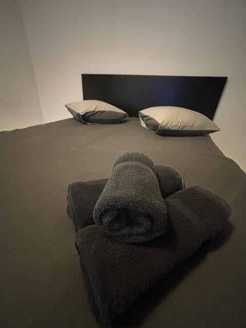 Modern 1BR and Sofa Bed Near Airport Apartment in Brussels