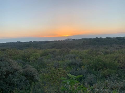 DuneLodge Hoek van Holland House in s-Gravenzande
