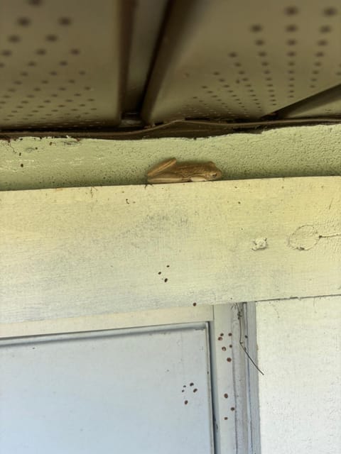 Cardinal vacations Villa in North Fort Myers