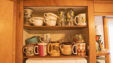 Time Capsule Holiday House House in Wisconsin