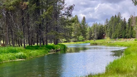 Spring, Day, Natural landscape, River view