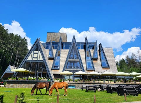 Property building, Animals