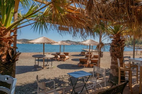 Lounge or bar, sunbed