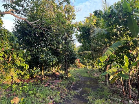 Cacao Bamboo House Apartment in Kerambitan