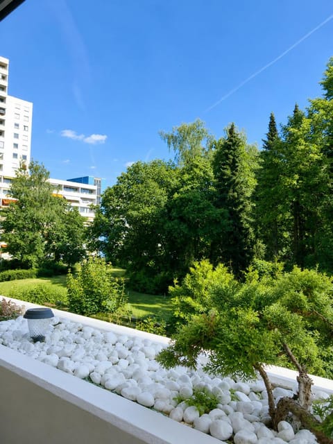 Spring, Day, Garden, Garden view