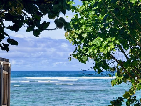 Coral Wave Cottage House in Mokuleia
