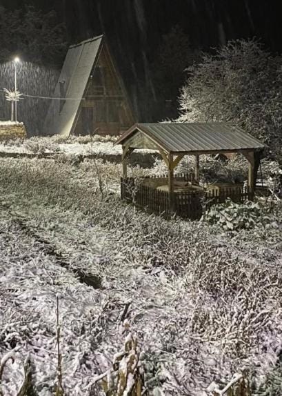 Night, Winter, Garden view