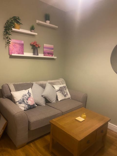 13 Chute Street free parking for one vehicle House in Exeter