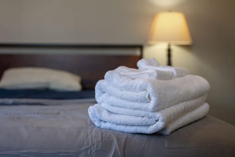 Spacious Duplex Home in Downtown Indy-Family Friendly House in Indianapolis