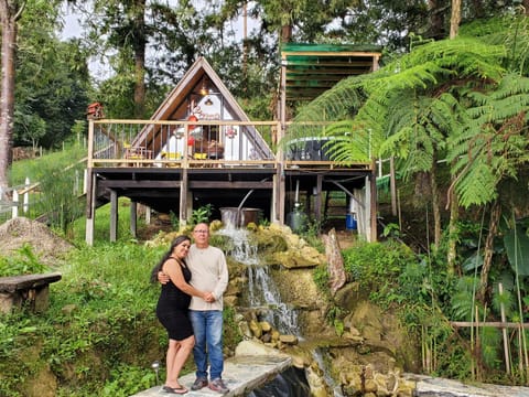 Natural landscape, Garden, Garden view
