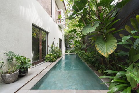 Garden, Garden view, Pool view, Swimming pool