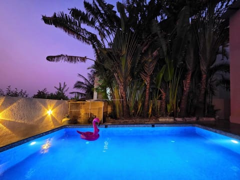 Night, Natural landscape, Garden, Garden view, Pool view, Swimming pool, Swimming pool, sunbed