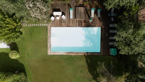 Garden, Pool view, Swimming pool, sunbed