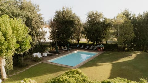 Pool view, Swimming pool, sunbed