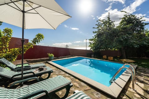 Day, Swimming pool, sunbed