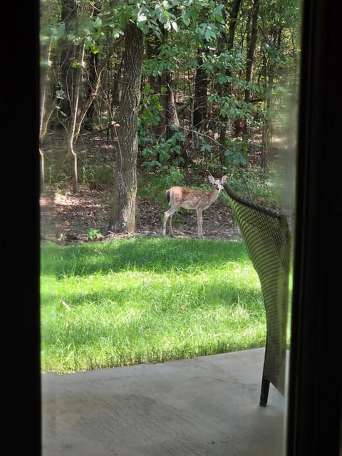 The Lodge at Deer Haven House in Arkansas