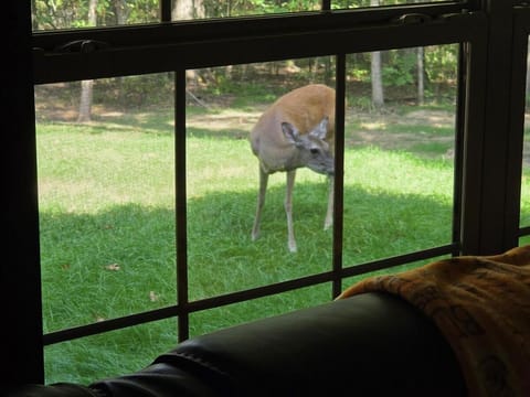 The Lodge at Deer Haven House in Arkansas