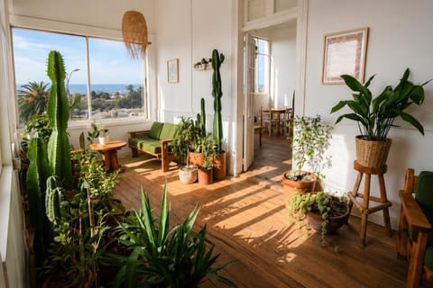 Spring, Garden, Garden view