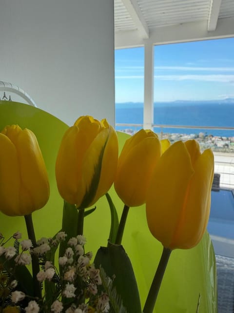 Villa Ice Sorrento Bed and Breakfast in Sant Agnello