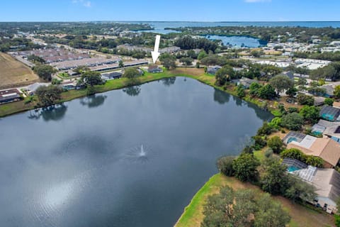 Sunny Palms House in Palm Harbor