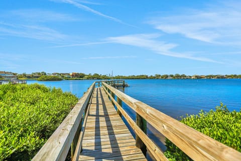 Driftwood Dreams House in Palm Harbor