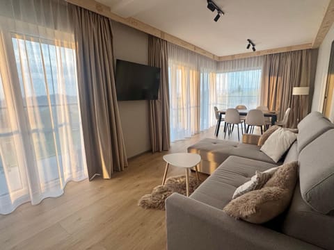 Living room, Dining area, air conditioner