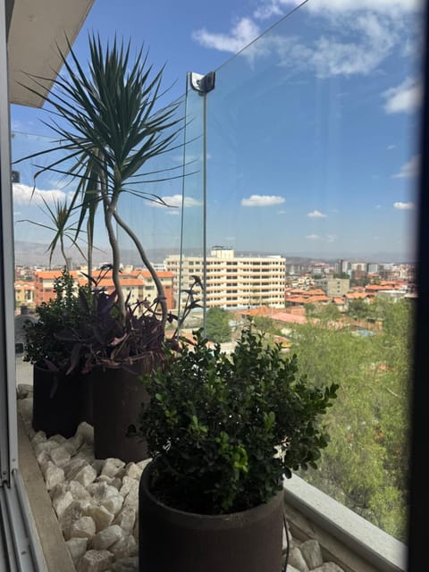 Day, Garden, View (from property/room), Balcony/Terrace, City view