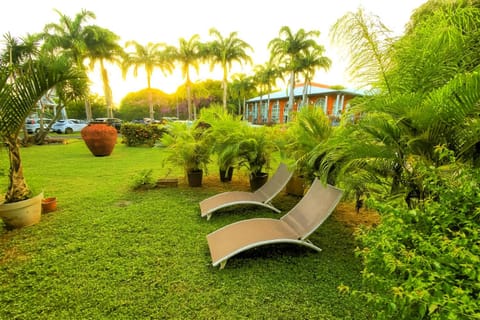 Day, Natural landscape, Garden, Garden, Garden view