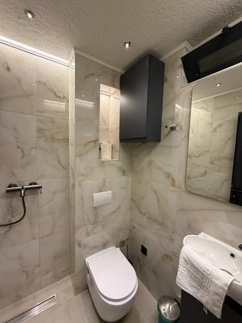 Shower, Toilet, Bathroom, towels