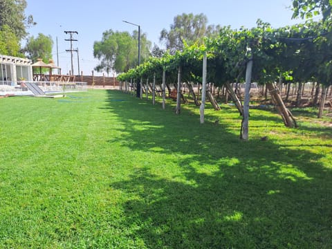 Natural landscape, Garden