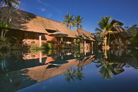 Day, Natural landscape, Garden, Garden view, Pool view, Swimming pool