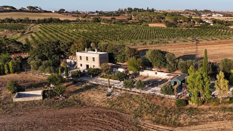 Property building, Bird's eye view